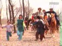 《村枝1994台湾版》剧照：阿宏骑着老铁马穿过稻田